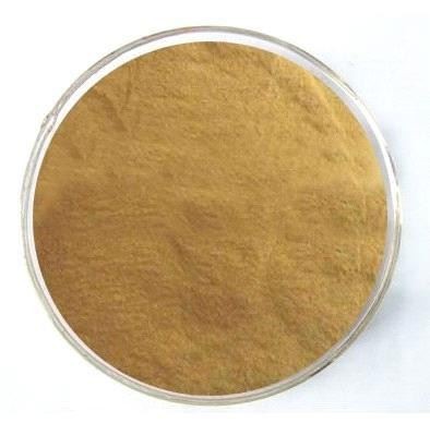 CAS:107575-60-0 | Ethyl 6-amino-5-methoxyindole-2-carboxylate